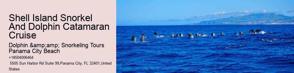 Panama City Beach Snorkeling Tour