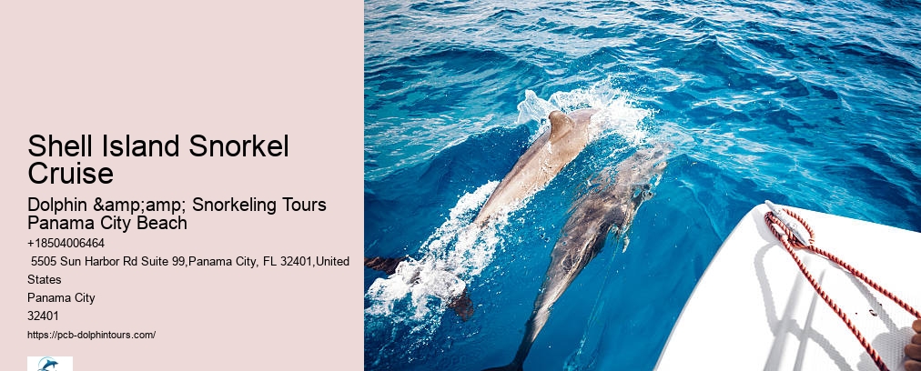 Snorkel Tour Panama City Beach