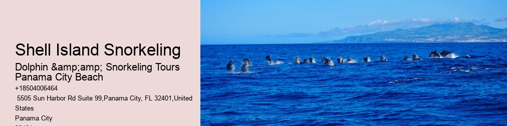 Dolphin And Snorkeling Tours Panama City Beach
