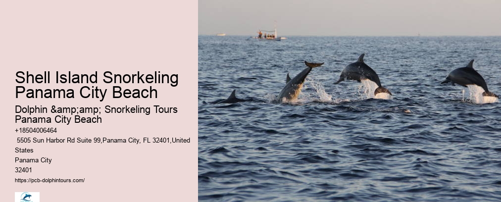 Snorkeling Tours In Panama City Beach Fl