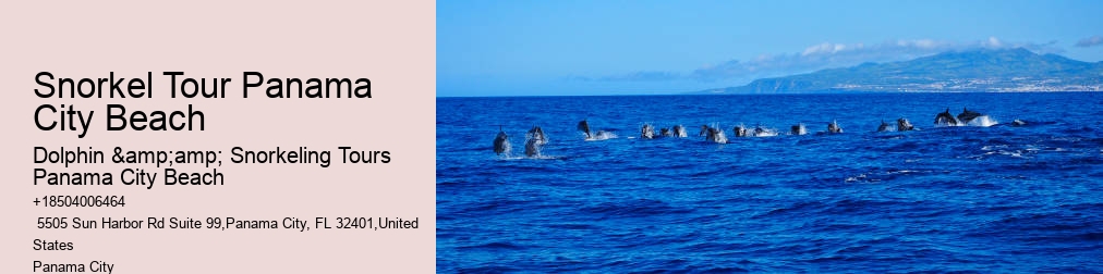 Dolphin And Snorkel Tours Panama City Beach