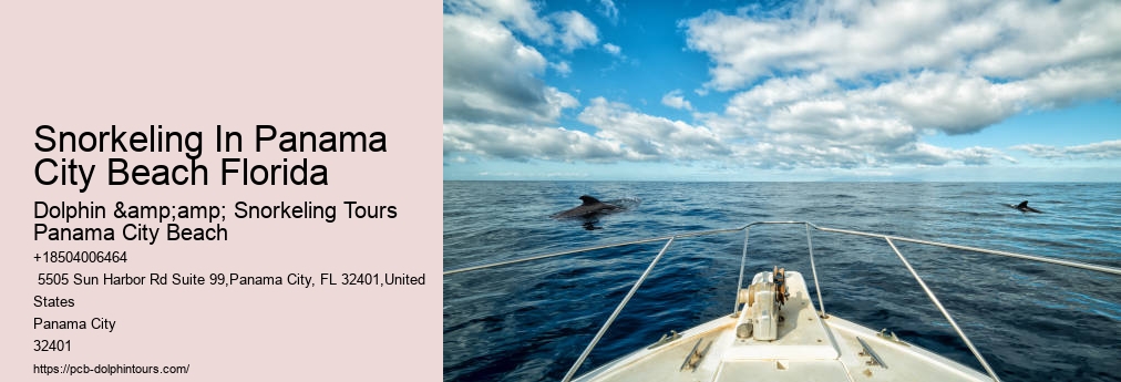 Snorkeling Tours In Panama City Beach Fl