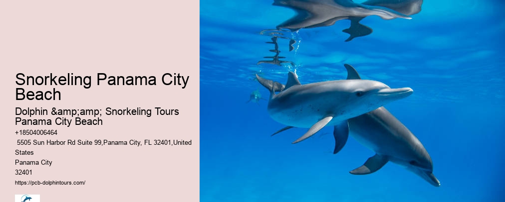Snorkeling Tours Panama City Beach
