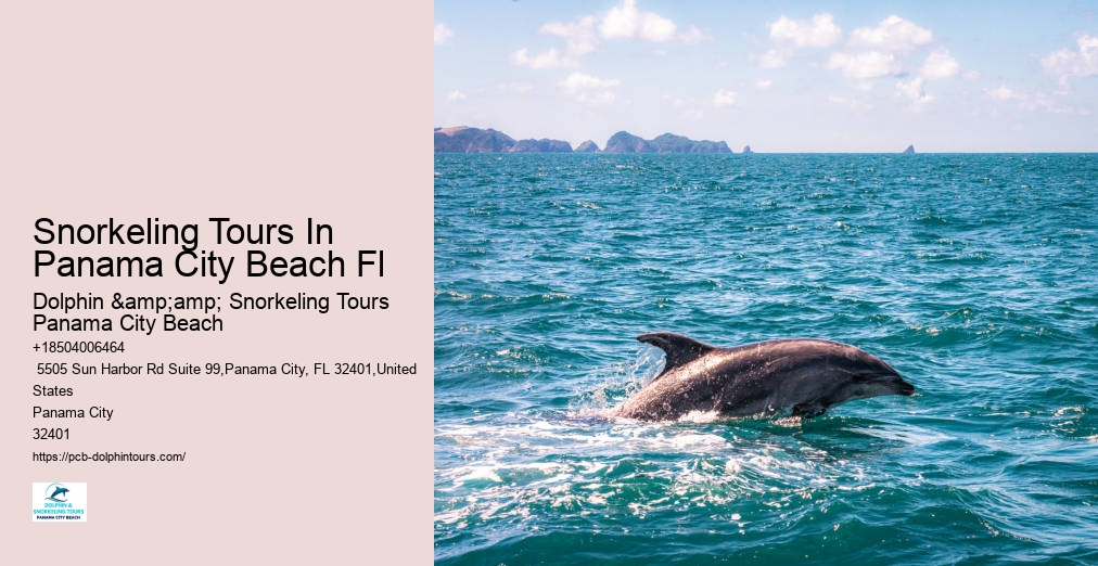 Snorkeling Tours In Panama City Beach Fl