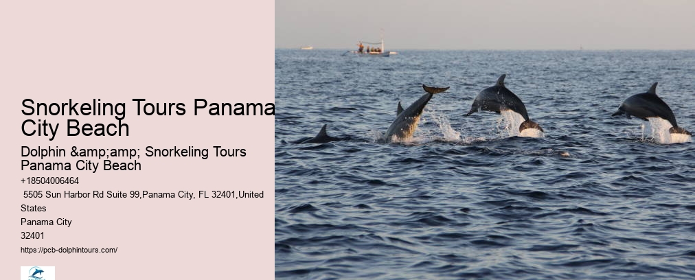 Snorkeling Panama City Beach