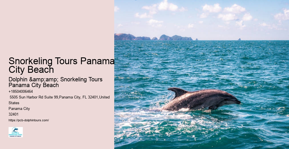 Dolphin And Snorkel Tours Panama City Beach