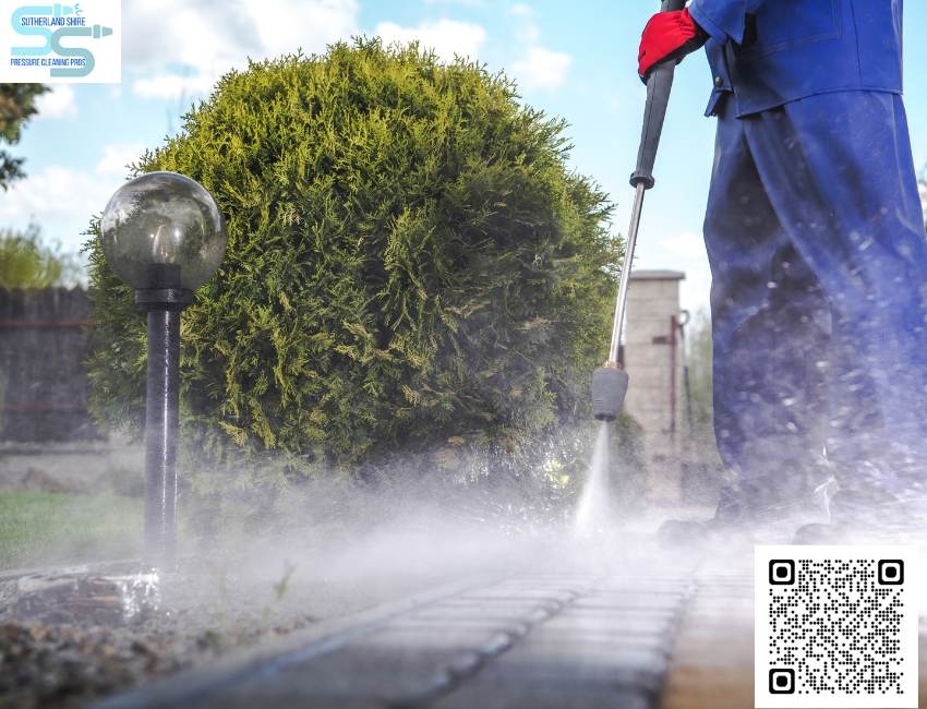 Expert Tips for Maintaining a Clean Roof