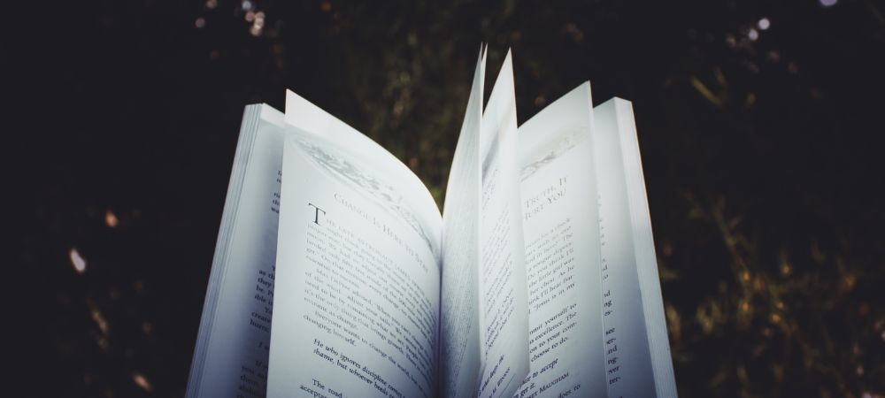 STEAM curriculum