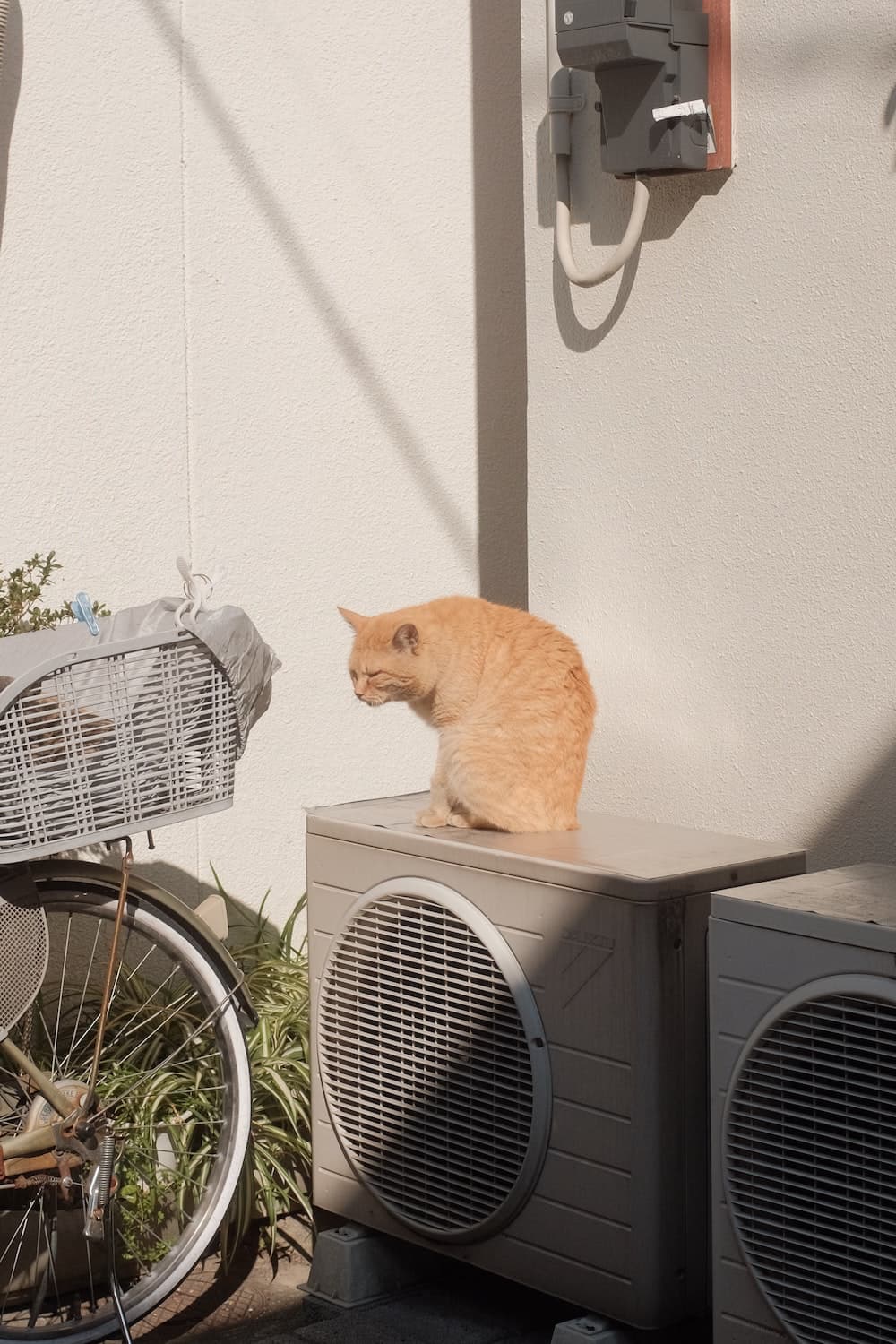 local hvac contractor