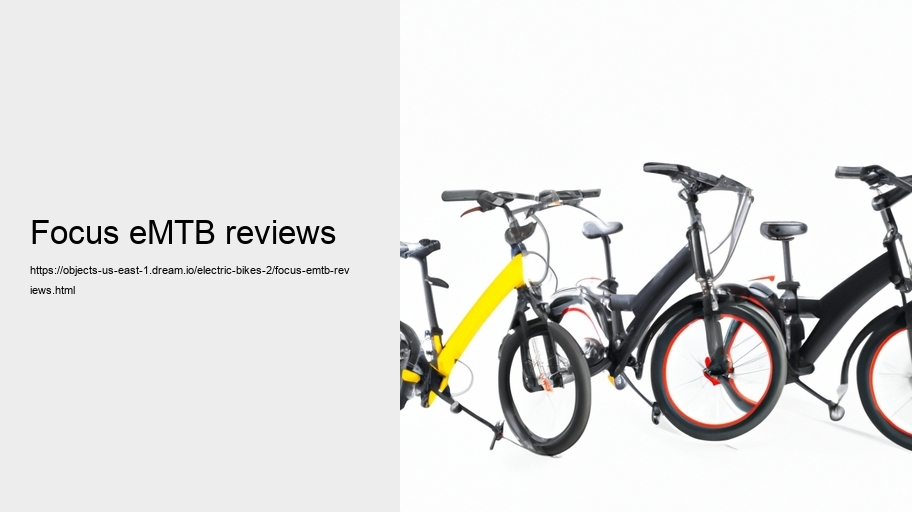 Focus eMTB reviews