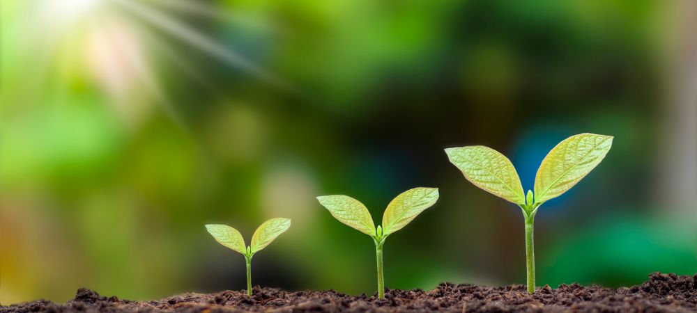 What is Climate Change and How Does It Impact Our Planet?