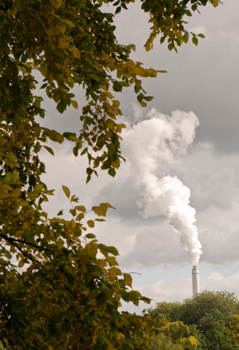 Case Studies of Successful Renewable Resource Utilization