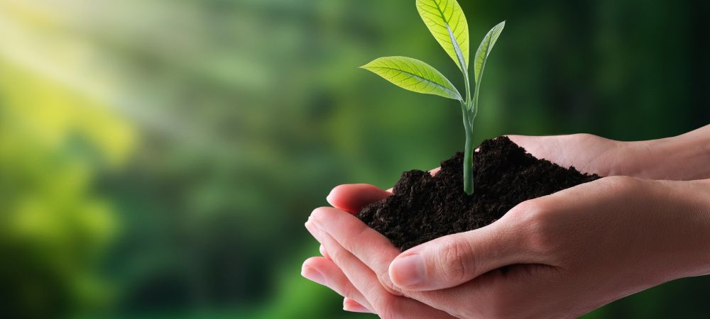 How to Transform Your Daily Routine and Save the Planet: Simple Steps for Big Impact