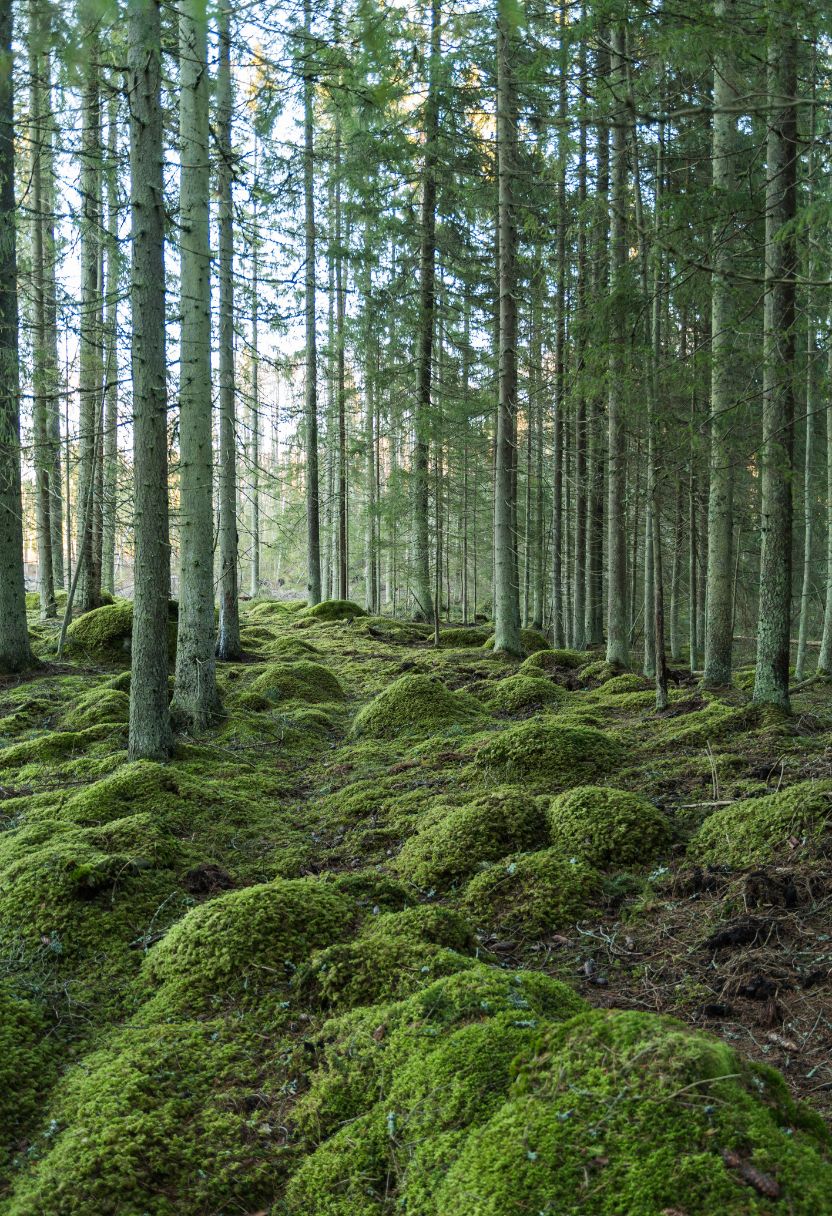 Impact of Global Warming on Climate Patterns