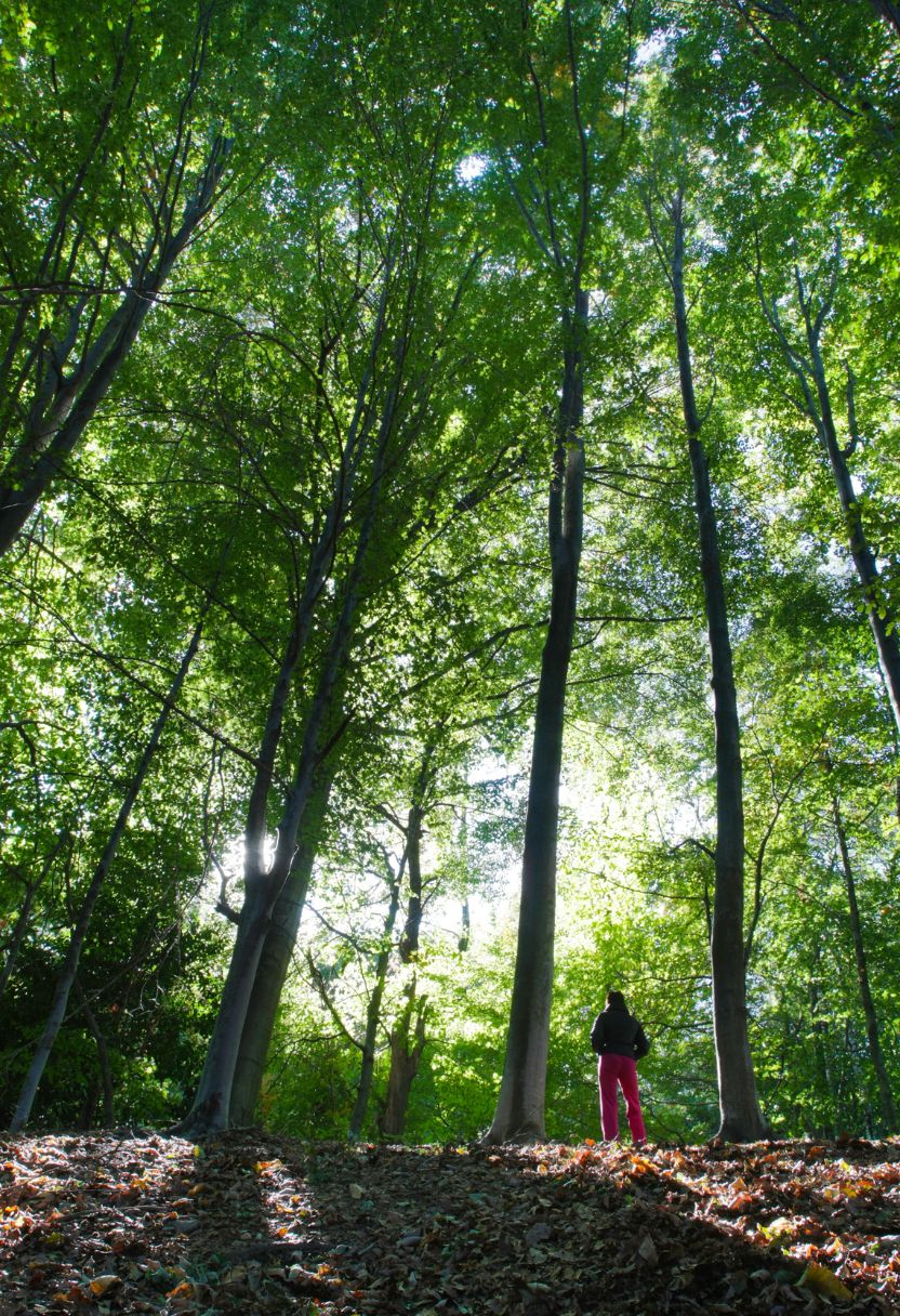 Future Outlook: Preparing for a Changing Environment