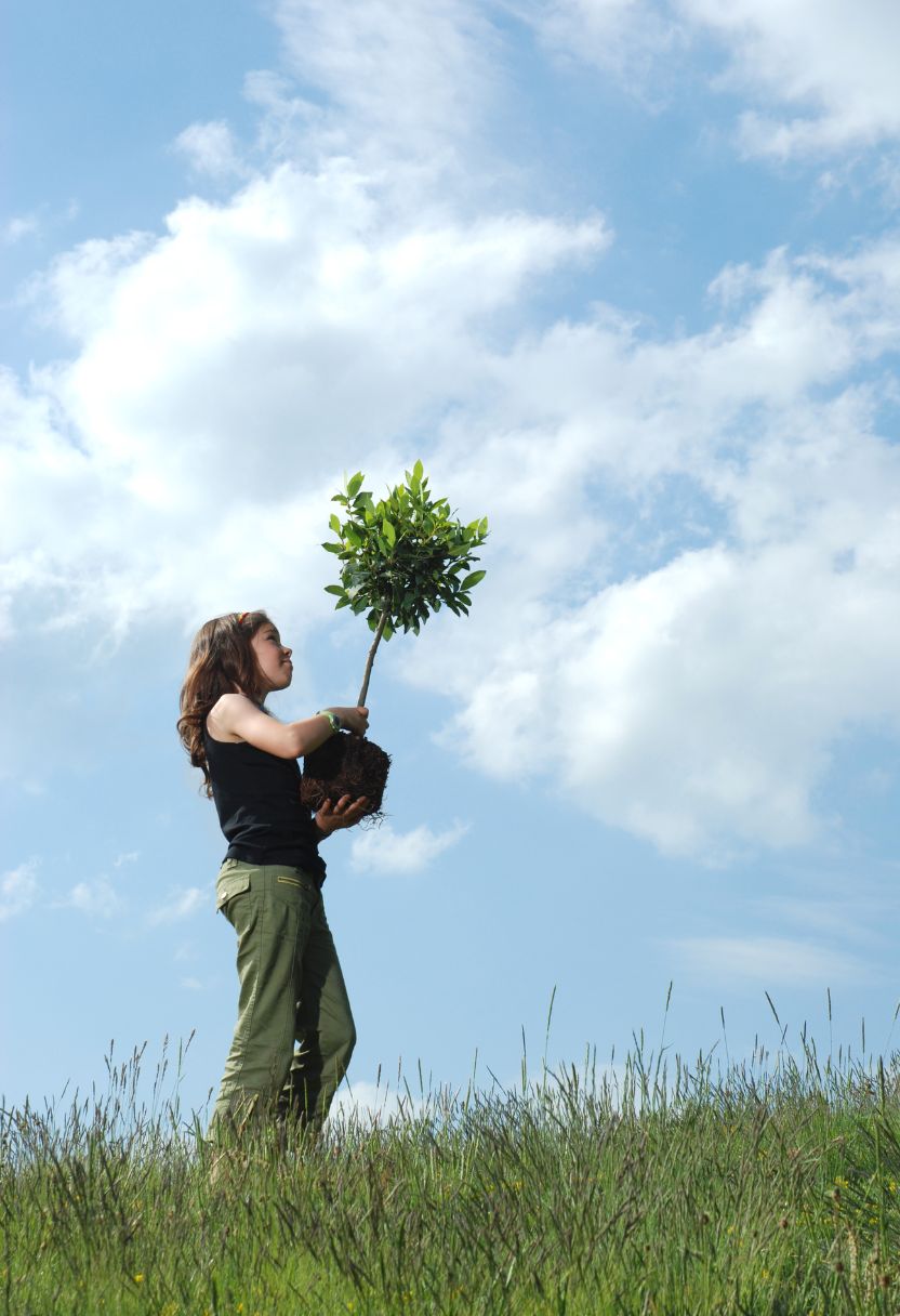 Government Policies and Regulations on Pollution Control
