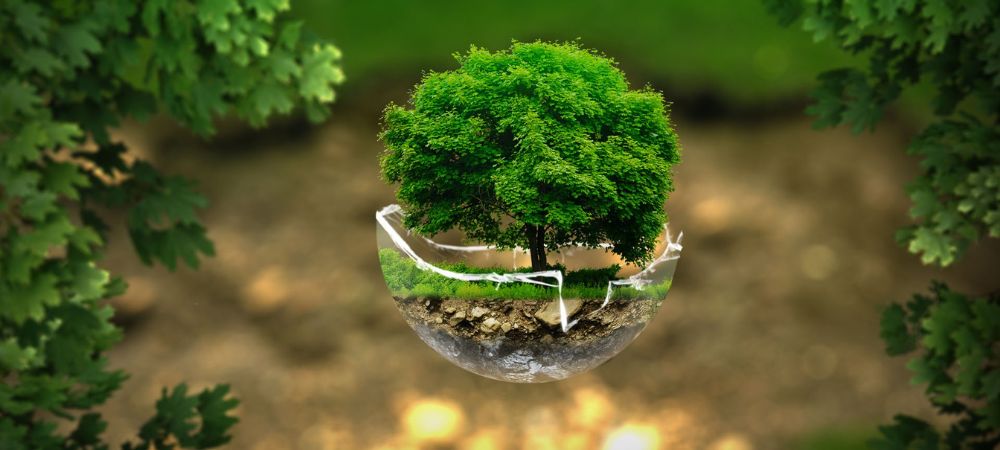 How to Make Sustainable Living Easy: Secrets Environmentalists Don’t Want You to Know
