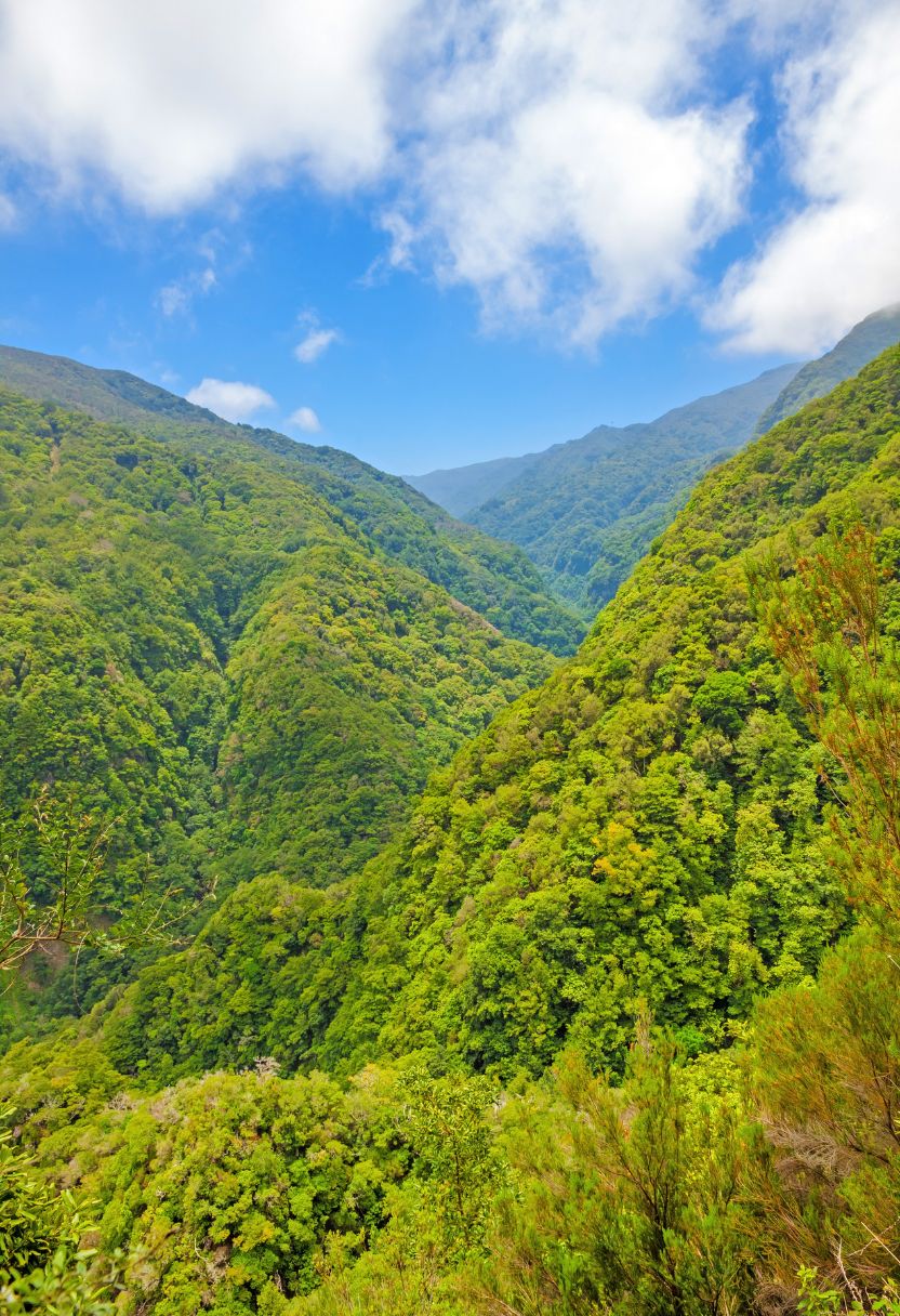 Impact of Endangered Species on Ecosystems and Biodiversity