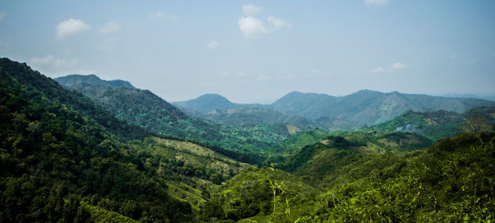 Mineral Extraction