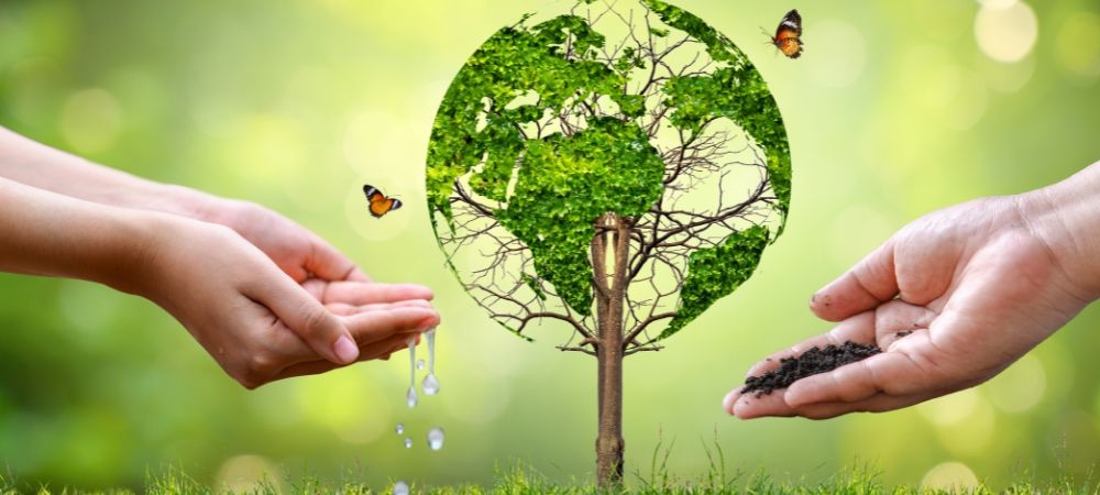 Renewable Resources