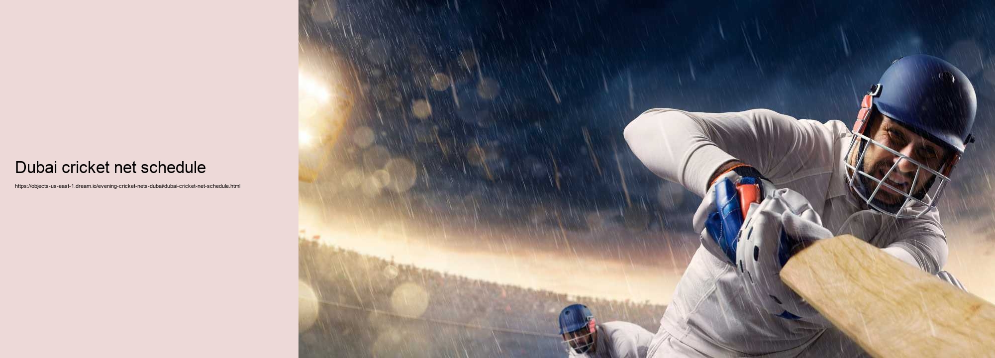 Dubai cricket net schedule