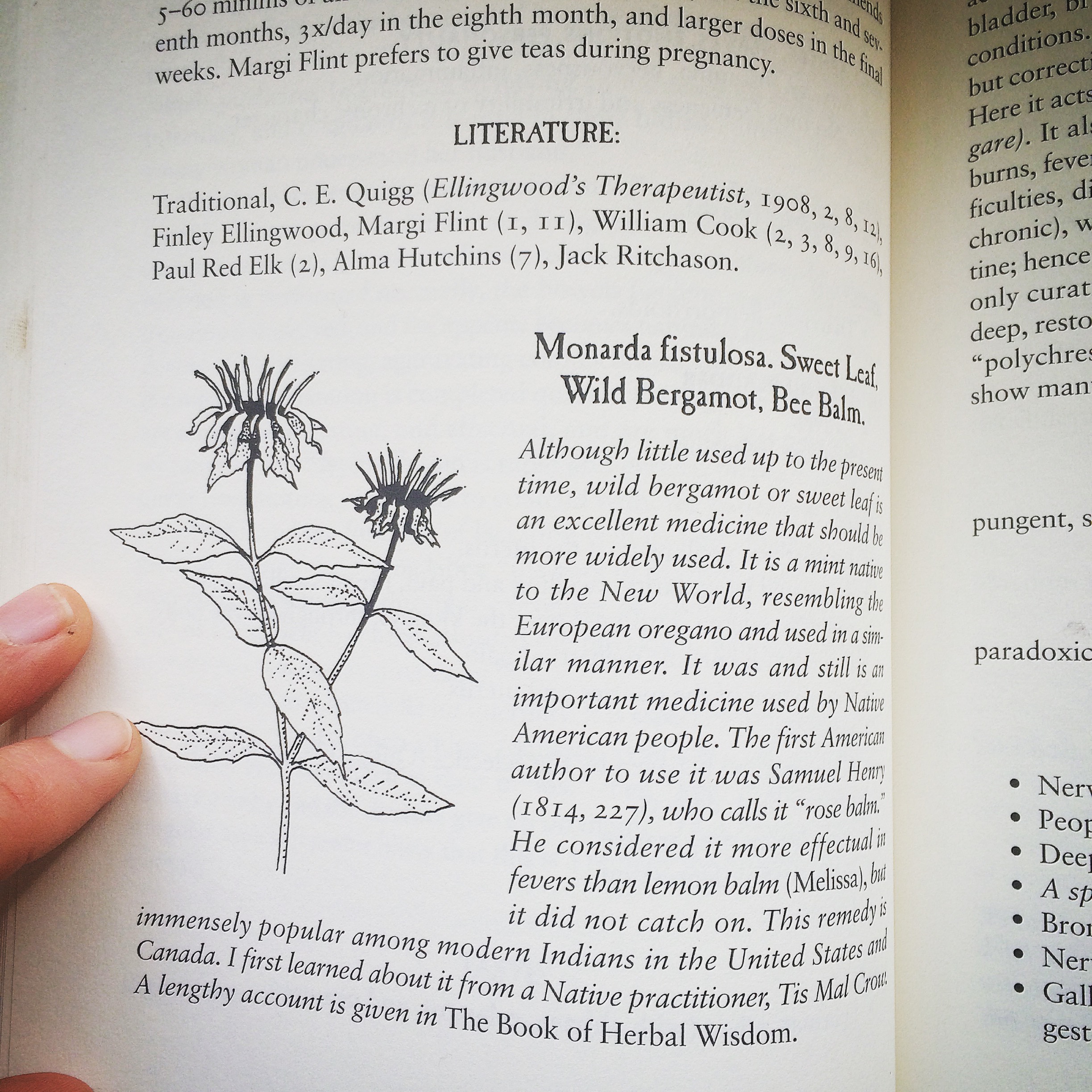 A Guide for Building your Herbal (and Alchemical) Library — School of