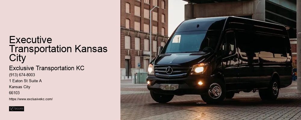 Black Car Company