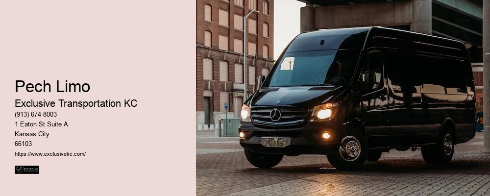 Chauffeured Transportation Services