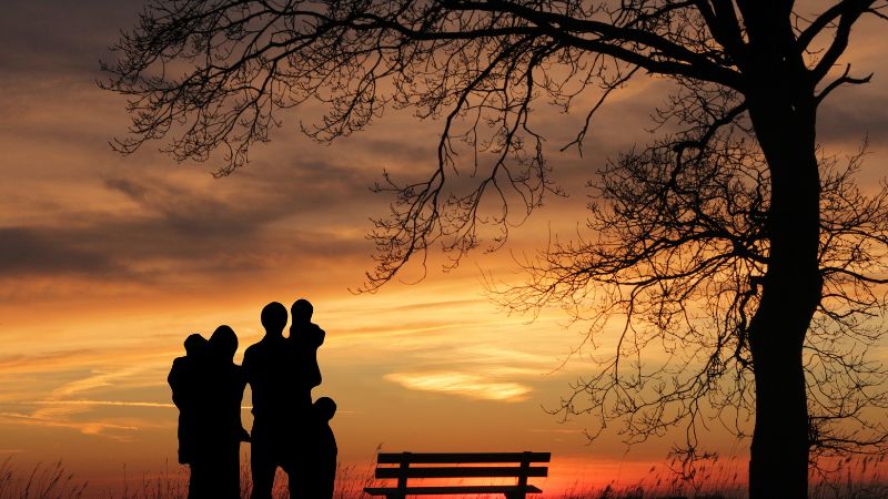 Role of parents in shaping the values and behaviors of their children