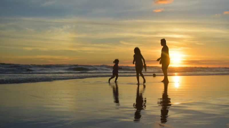 What is the impact of family support on individual well-being?