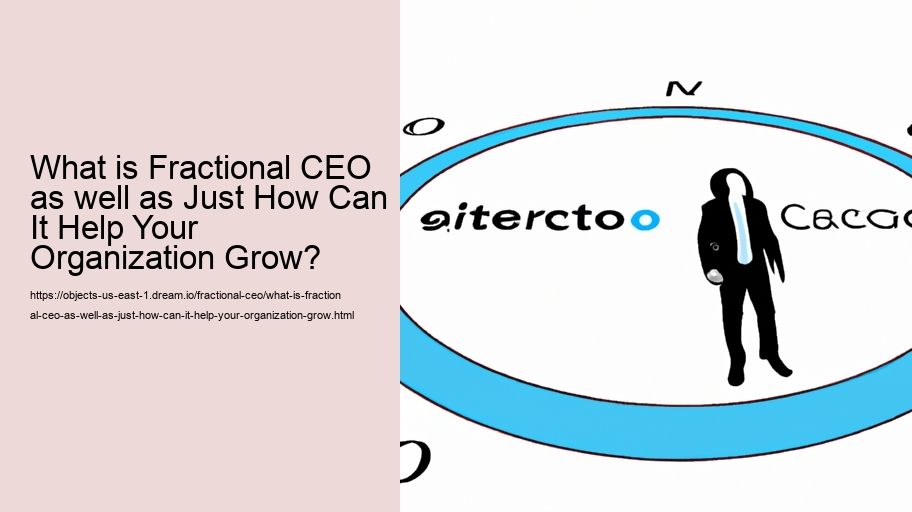 What is Fractional CEO as well as Just How Can It Help Your Organization Grow?