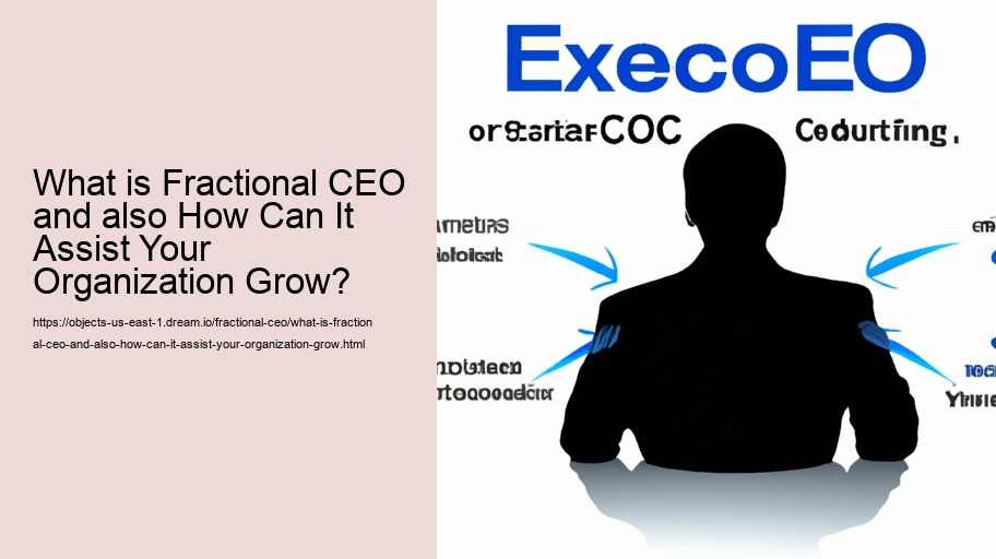 What is Fractional CEO and also How Can It Assist Your Organization Grow?