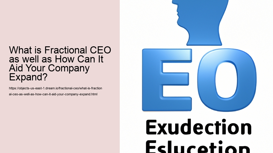 What is Fractional CEO as well as How Can It Aid Your Company Expand?