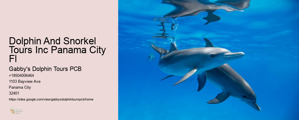 Dolphin Tours Panama City Fl