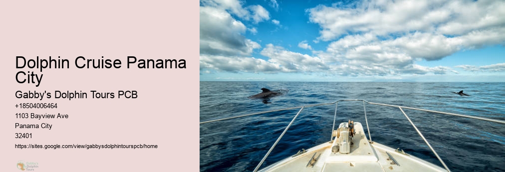 Dolphin Tours Near Me