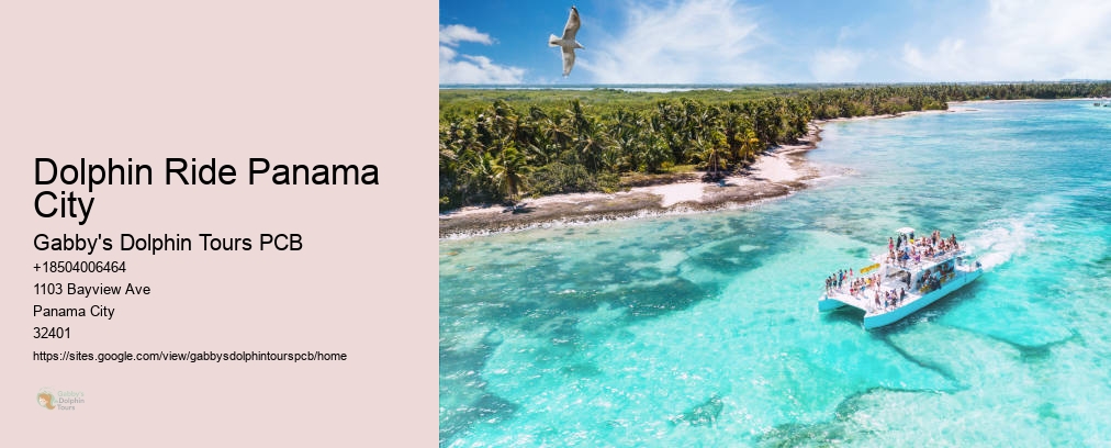 Panama City Dolphin Tours And More