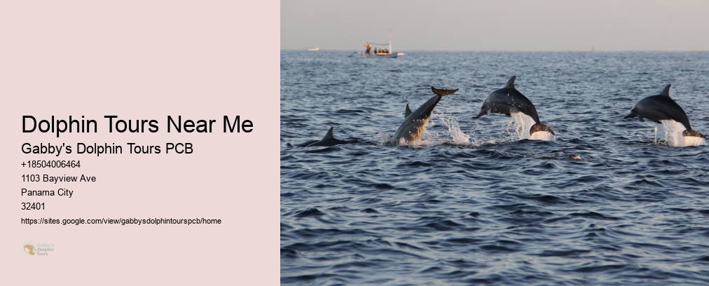 Gabby Dolphin Tours Panama City