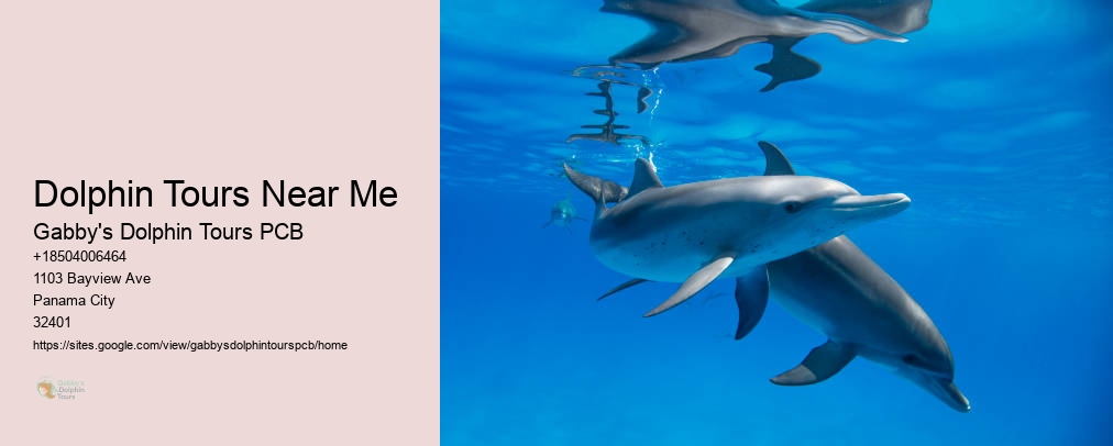 Panama City Dolphin