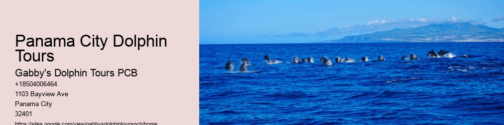 Panama City Dolphin Tours