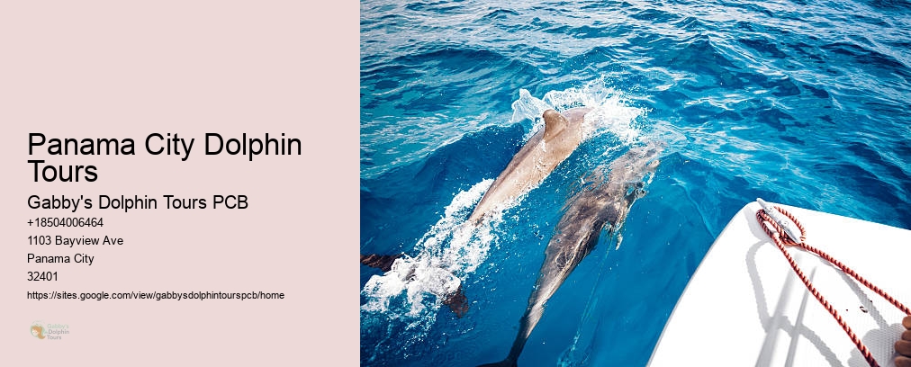 Panama City Dolphin Tours