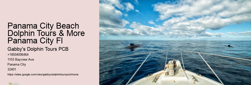 Dolphin Tours Near Me