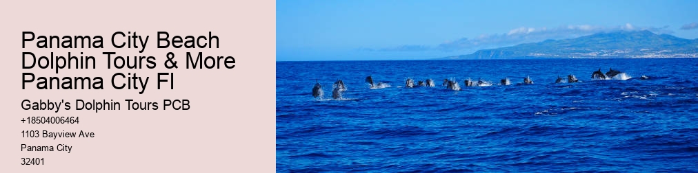 Panama City Dolphin Tours And More
