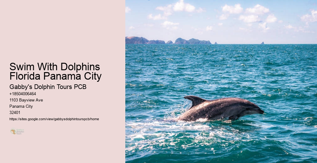 Panama City Dolphin Tours
