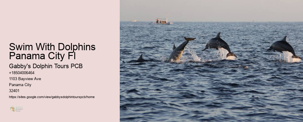 Dolphin And Snorkel Tours Inc Panama City Fl