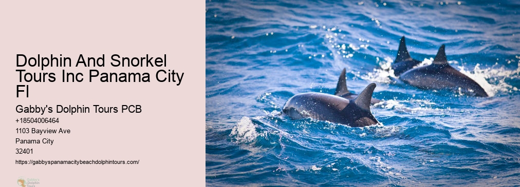 Panama City Florida Dolphin Cruise
