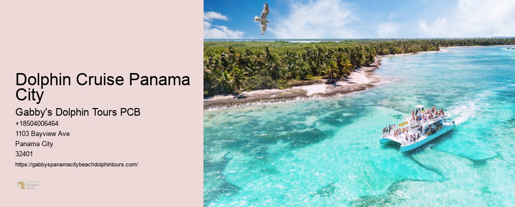 Panama City Dolphin Tours And More