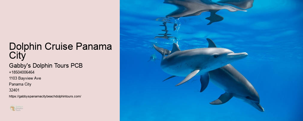 Dolphin And Snorkel Tours Inc Panama City Fl