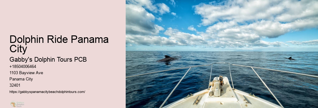 Panama City Dolphin Tours And More