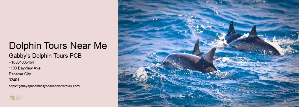 Dolphin Tours Panama City Fl