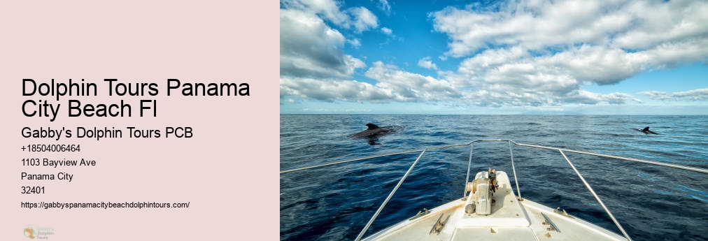 Dolphin Tours Near Me